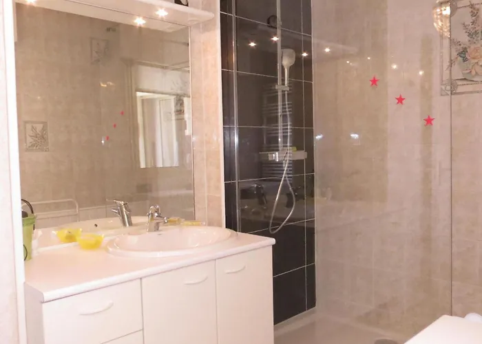 Apartamento 2 Pieces Avec Climatisation Et Animal Admis, Centre - Fr-1-780-47