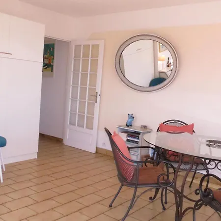 Apartment 2 Pieces Avec Climatisation Et Animal Admis, Centre
