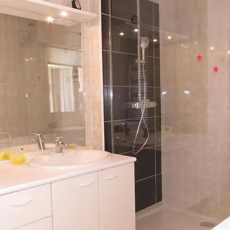 Apartment 2 Pieces Avec Climatisation Et Animal Admis, Centre - Fr-1-780-47