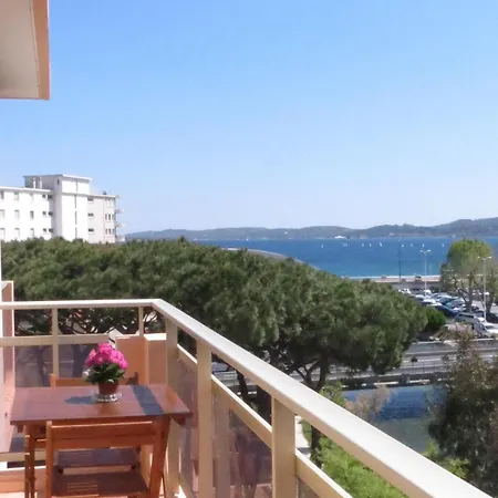 Apartment 2 Pieces Avec Climatisation Et Animal Admis, Centre - Fr-1-780-47 *