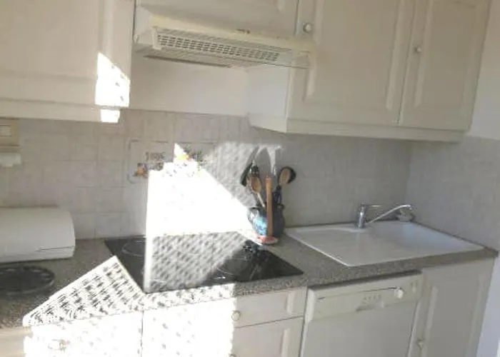 Apartmán 2 Pieces Avec Climatisation Et Animal Admis, Centre - Fr-1-780-47