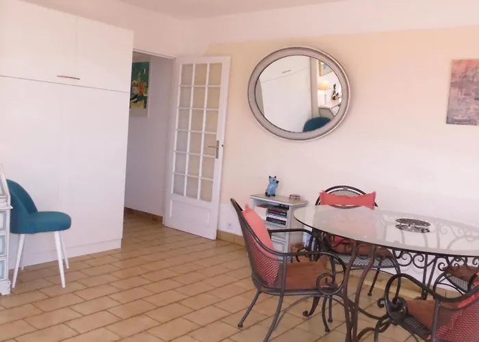 Apartmán 2 Pieces Avec Climatisation Et Animal Admis, Centre - Fr-1-780-47