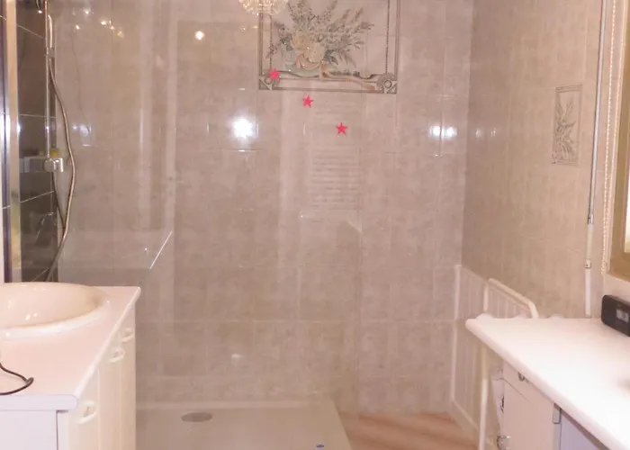 2 Pieces Avec Climatisation Et Animal Admis, Centre - Fr-1-780-47